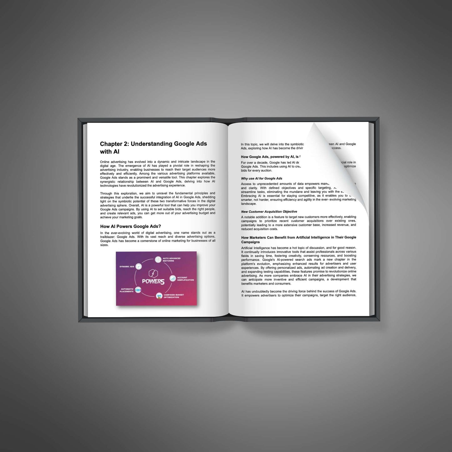 Google Ads AI Expertise