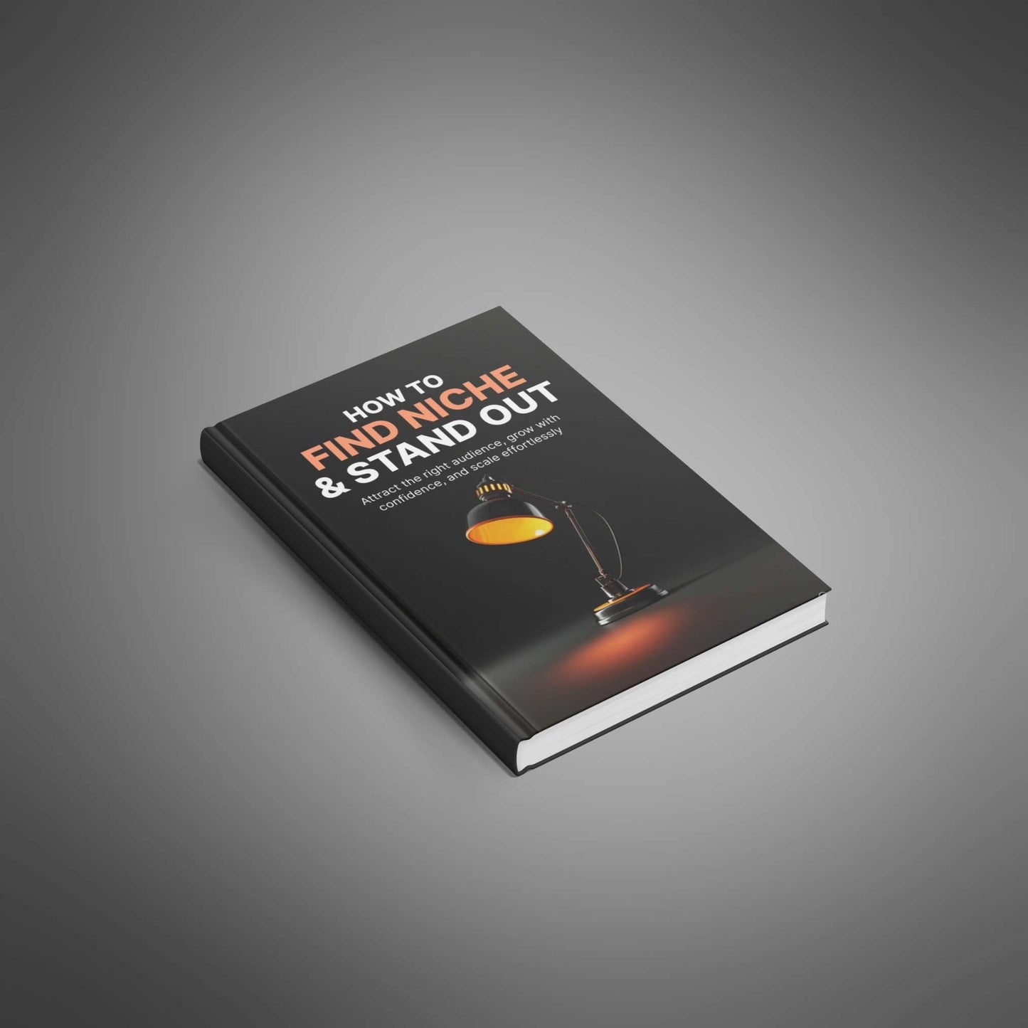 How to Find Niche & Stand Out - Book