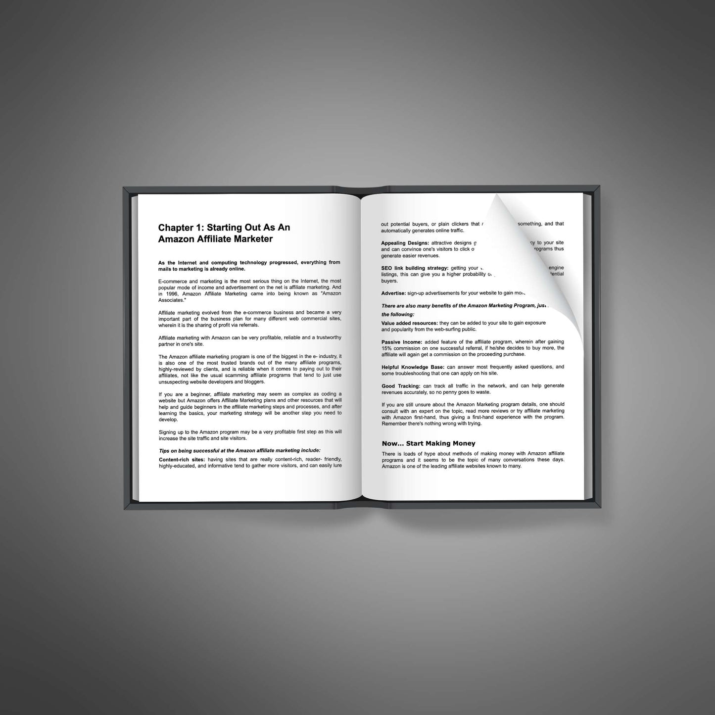 Amazon Associate Influence