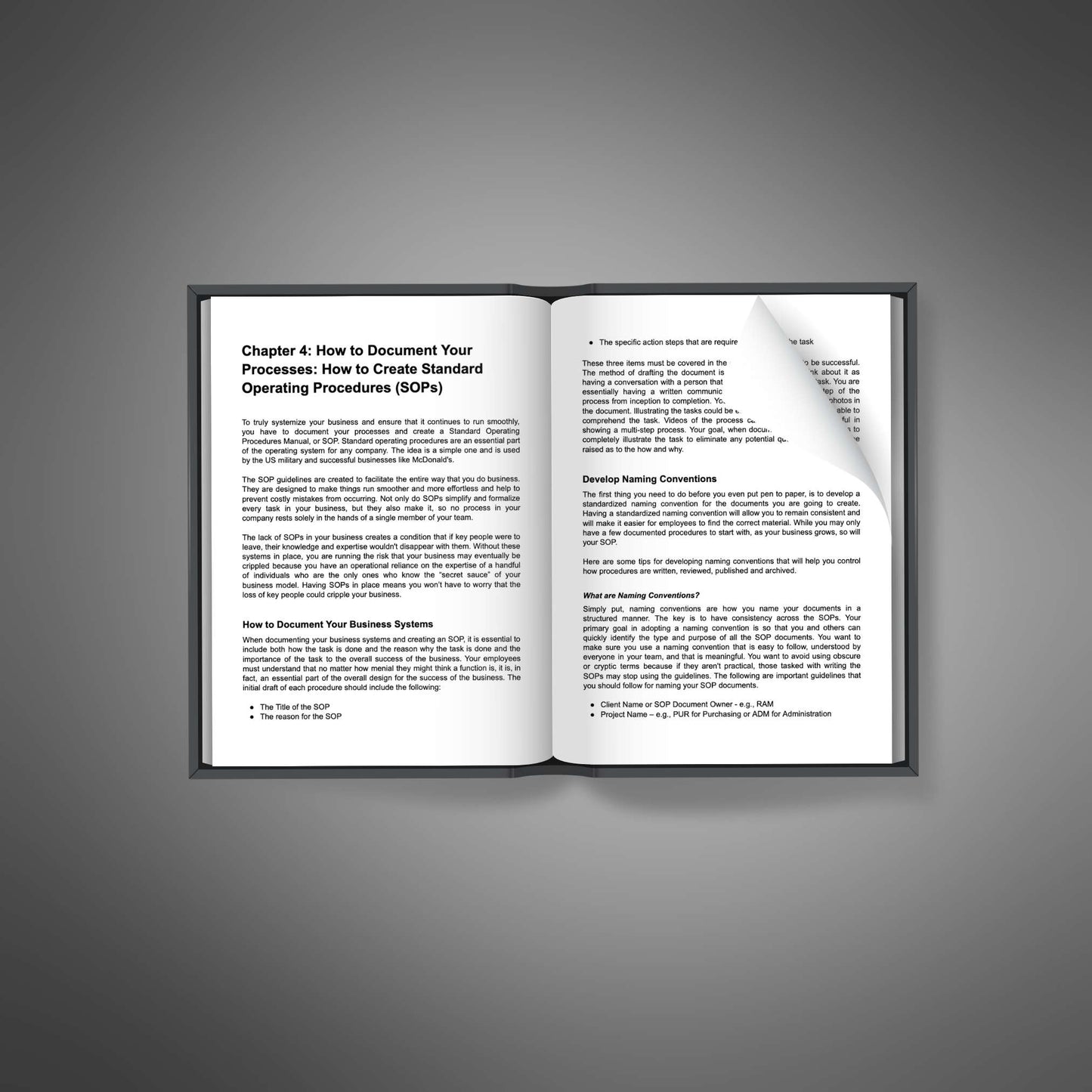 Business Systemization