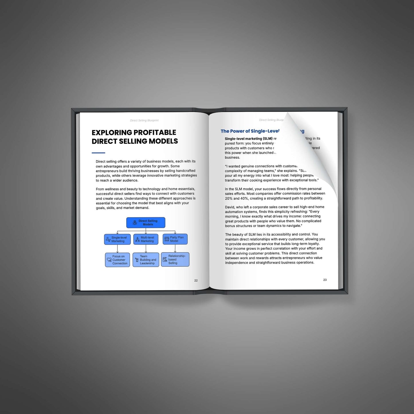 Direct Selling Blueprint - Ebook